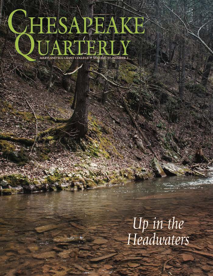 issue cover - A stream flows through Green Ridge State Forest on its way to the Chesapeake 200 miles downstream. PHOTOGRAPH, NICOLE LEHMING