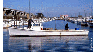 boat with men using tongers near the Bay bridge