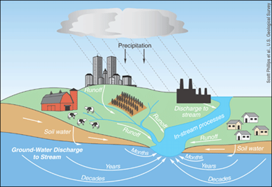 schematic showing the water cycle