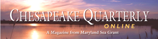 [Chesapeake Quarterly masthead]