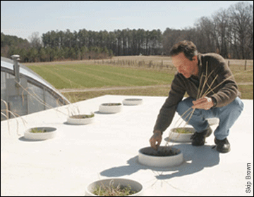Ken Staver crouching near one of his grass containers on a roof