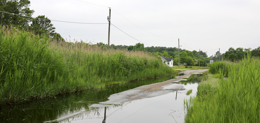 Encroaching water brings wetland plants to the doorstep of an abandoned house. Photo, Eudora Miao