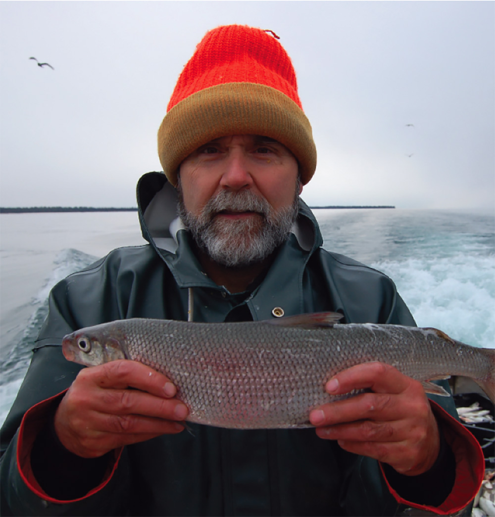 Michigan Sea Grant Extension Agent Ron Kinnunen holding a whitefish on a trap-netting vessel in Lake Michigan.