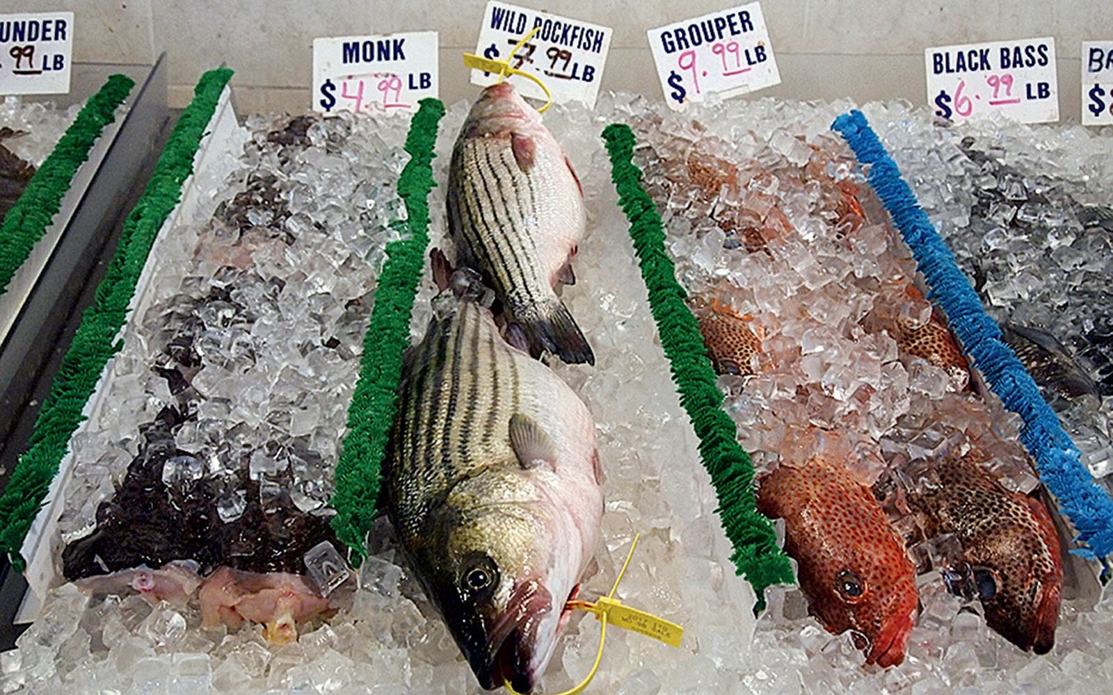 Fish on ice at the last seafood market in Jessup, Maryland. Photo, Rona Kobell