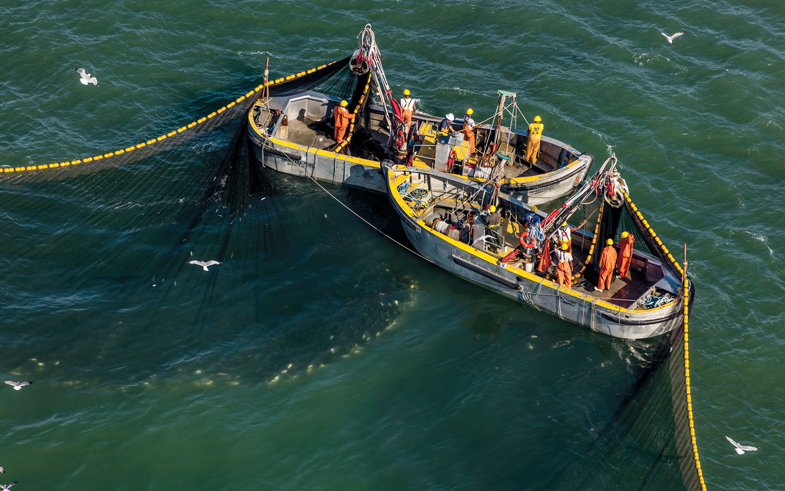 Menhaden seine nets. Photo, Gordon Campbell / At Altitude Gallery
