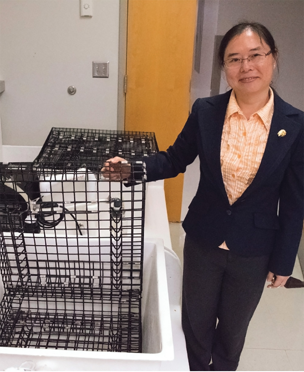Maryland Sea Grant Extension Agent Cathy Liu with a wet storage system used to control vibrio. Photo, Daniel Pendick / MDSG