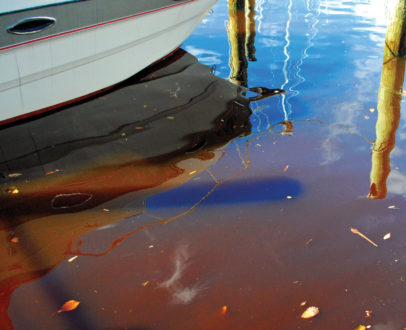 A bloom of Prorocentrum minimum, commonly called a mahogany tide, appeared in Spa Creek in Annapolis, Md., on October 28, 2009. Photo, Alicia Pimental/Chesapeake Bay Program