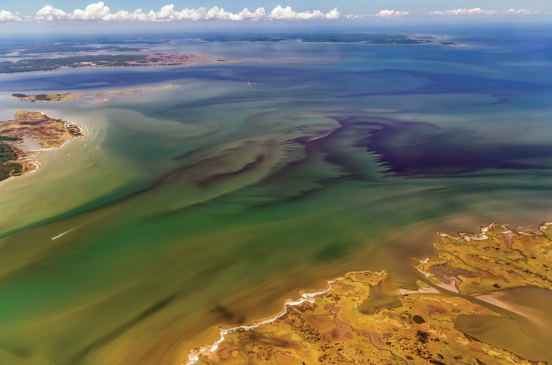 A bloom of Alexandrium monilatum just south of the Goodwin Islands in the mouth of the Poquoson River, September 2016. In the far upper right corner is New Point Comfort in Mathews, Virginia, in the southern part of the Chesapeake Bay. Photo, Wolfgang Vogelbein/VIMS