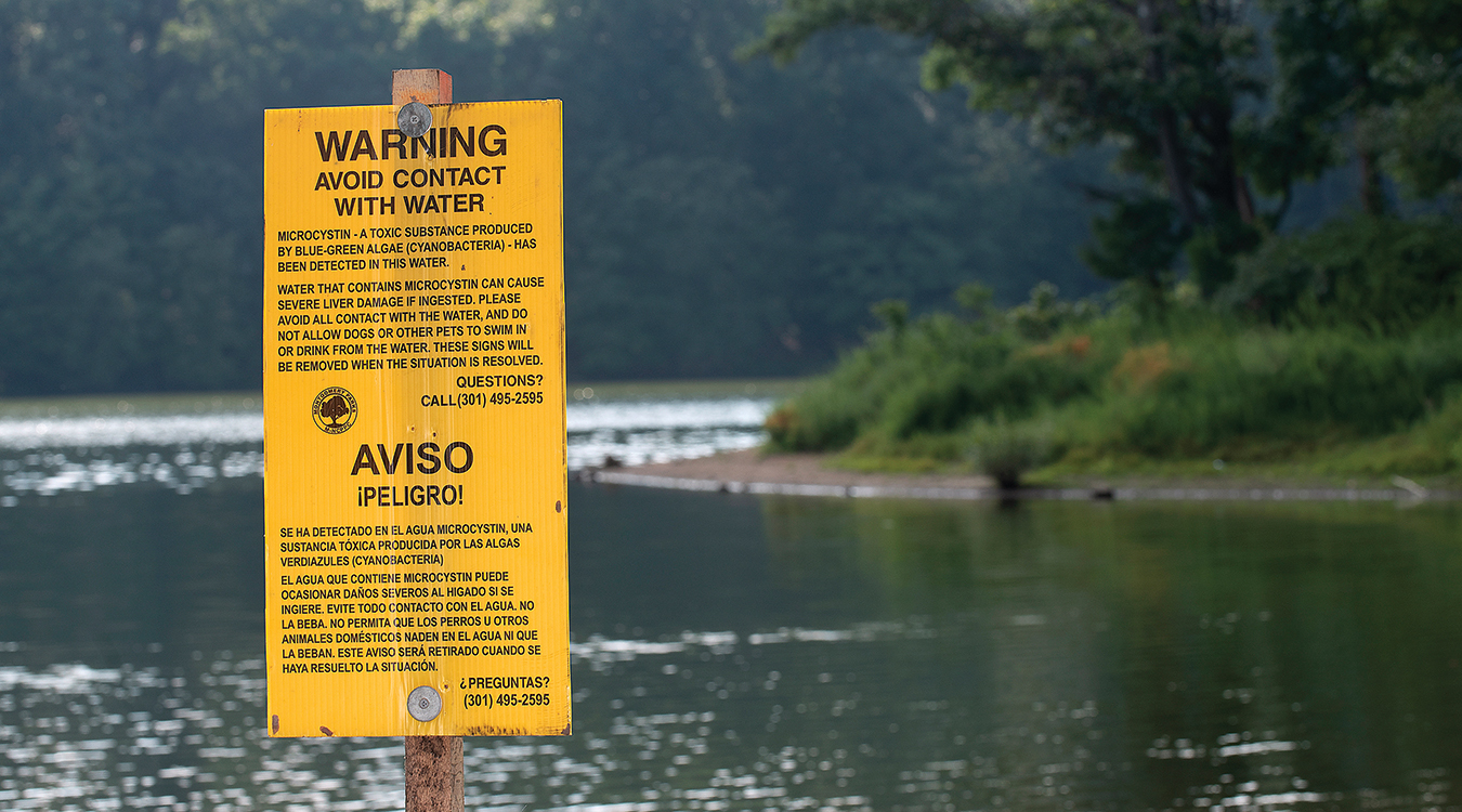 A sign posted at Lake Needwood in Rockville, Md. this summer warns visitors to avoid contact with the water because of a dangerous toxic bloom of blue-green algae. Photo, Dan Gross / The Frederick News-Post