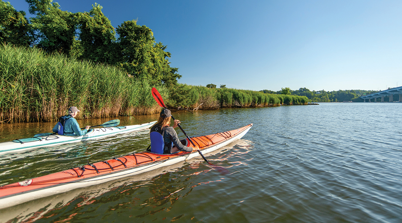 Don Baugh (left) and Erica Baugh paddle along the Severn River, near Don‘s home in Annapolis. Photo, Nicole Lehming/MDSG