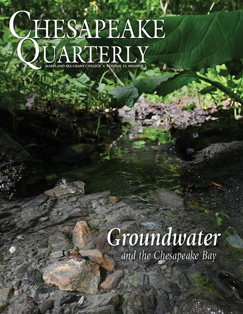 A small groundwater-fed stream runs by a road just north of Gambrill State Park in Frederick, Maryland. Photo credit: Nicole Lehming / MDSG