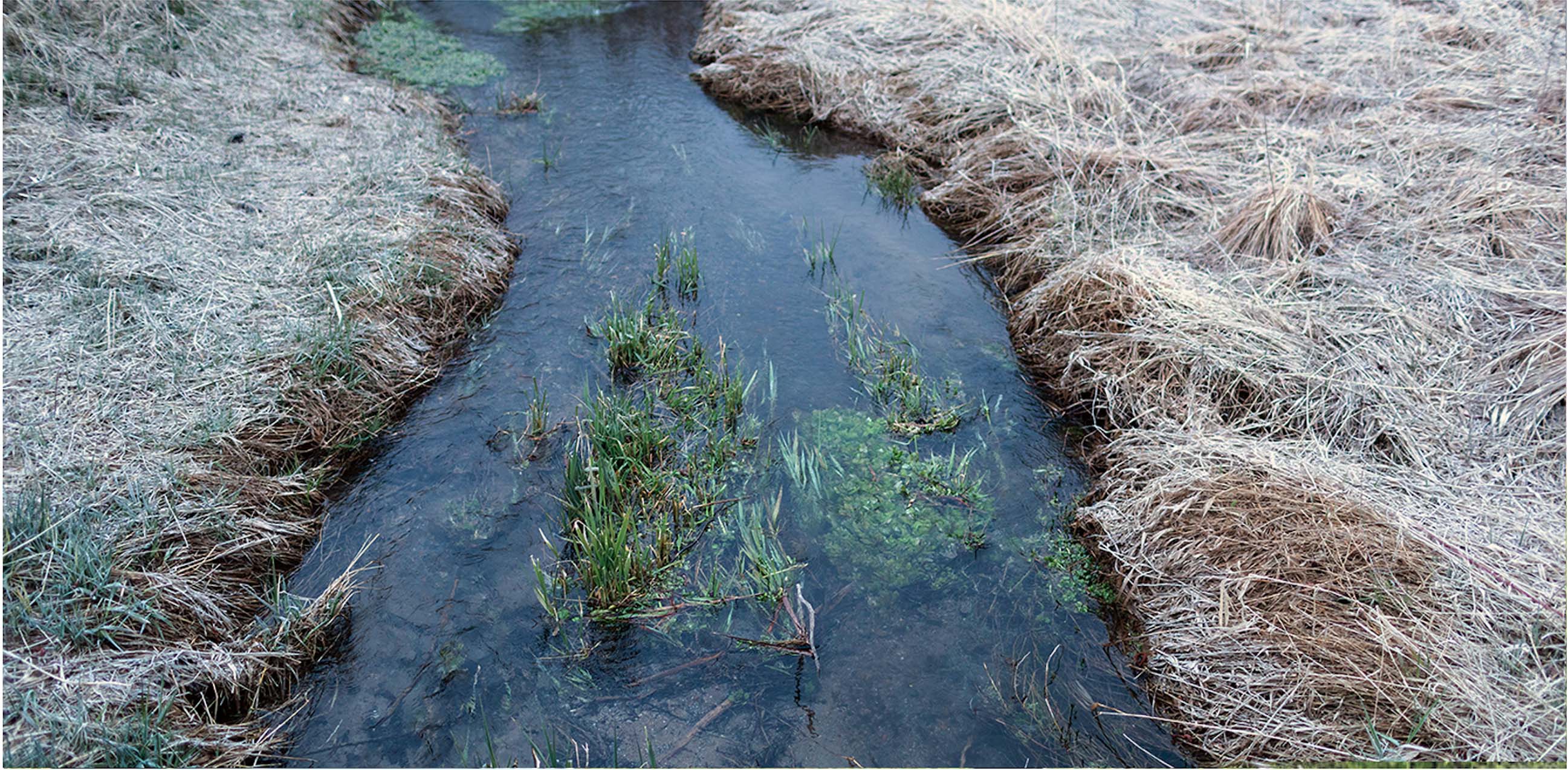 The groundwater that feeds our population can also deliver to us unwanted elements: nitrogen from farm fields, wastewater plants, and septic tanks; saltwater intruding from increasing pumping that changes the water levels; and even pollutants from the air. How do we measure the problems and protect the water sources? 