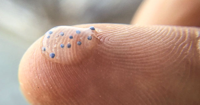 Closeup of water drop with tiny microbeads on finger.