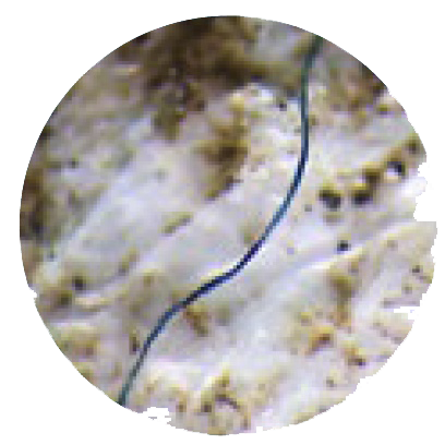 Image of a single thread of plastic, taken through a microscope.