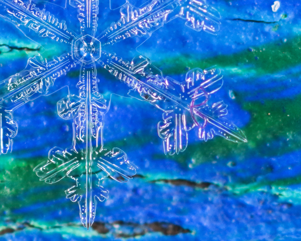 A plastic fiber encased within the ice crystals of a snowflake. Microplastics are not just in our water but also in our air, and can fall to the ground through precipitation or vapors. Photo, Doug Wewer / DesertSnowPhotography.com