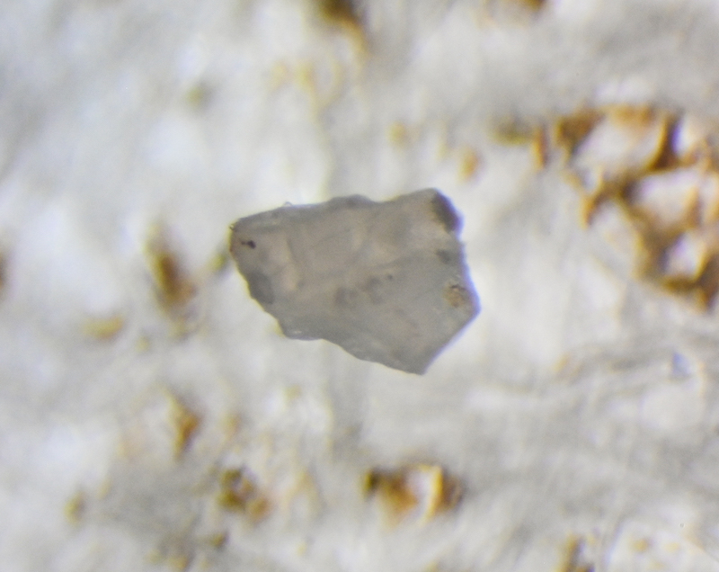 A microplastic from the Baltimore Harbor. 