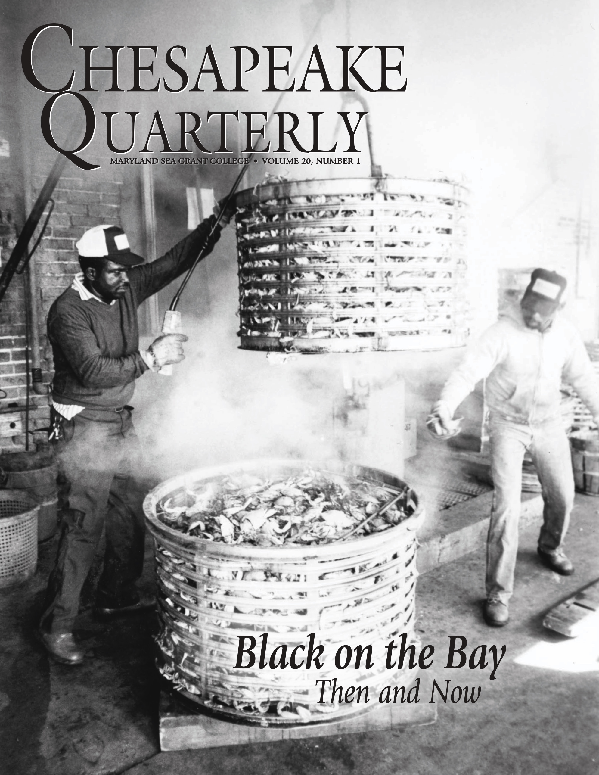 Men steaming crabs on Maryland’s Eastern Shore. Photo, Maryland Sea Grant College