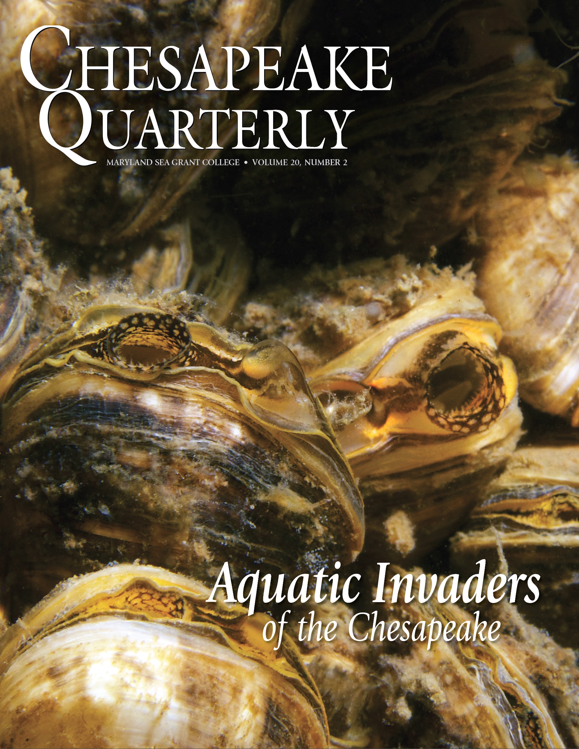 Cover for Aquatic Invaders of the Chesapeake