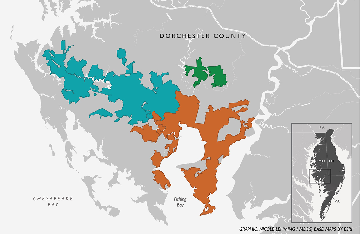 Map of Dorchester County on the Delmarva Peninsula or the Eastern Shore of Maryland. Three sections of the map are marked—going left to right, the large blue section is the Blackwater National Wildlife Refuge, the medium orange section is the Fishing Bay Wildlife Management Area, and the last green section (smaller, and above the green section) is Tudor Farms. Graphic, Nicole Lehming / MDSG; Base maps by Esri