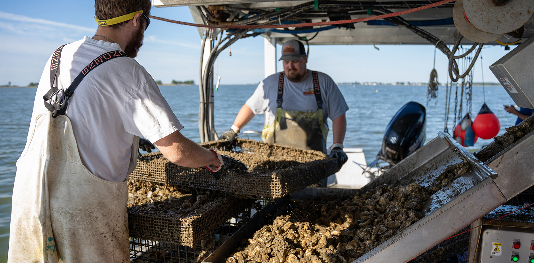 Washing and sorting oysters on the boat have helped Madhouse Oysters save time and effort. Photo, Logan Bilbrough/UME MDSG
