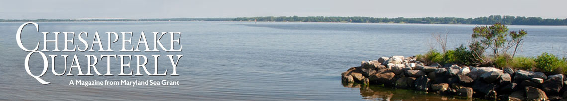 Chesapeake Quarterly Online logo in front of a wetland