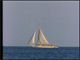 Skipjack on the Bay