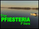 The Pfiesteria Files