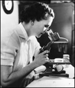 Rachel Carson - Lear/Carson Collection