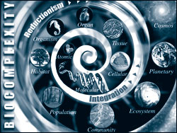Biocomplexity spiral - National Science Founcation