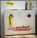 Package ready for shipping, photograph by Erica Goldman