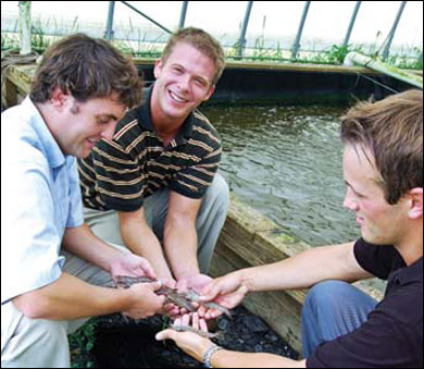 Marvesta Shrimp Farm, photograph by Kristi Bahrenburg Janzen