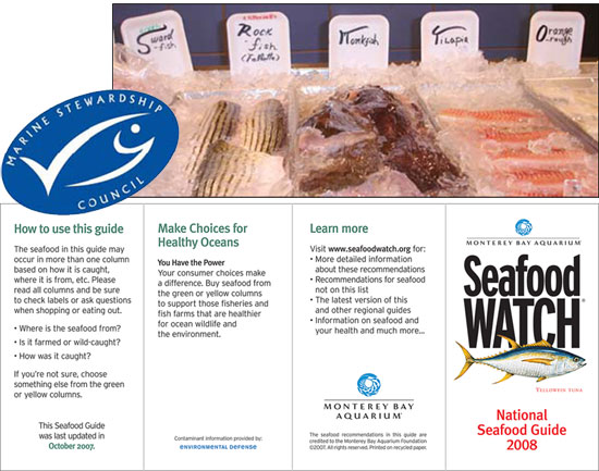 Seafood Watch - front part of pamphlet