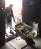 Gerryl Louden pusing wheelbarrow full of manure - photo by Skip Brown