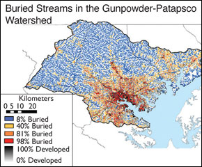 map of buried streams in the Gunpowder-Patapsco Watershed - Frontiers in Ecology and the Environment