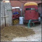 Pile of manure outside stable in 2006 - photo by Giu Jager
