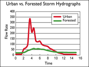 urban vs forested storm hydrographs - Ken Belt