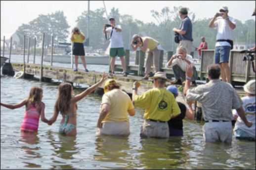 Line of people wading in the water - photo by Jack Greer