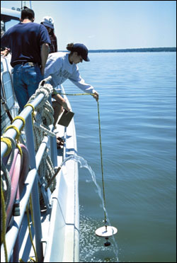 Student lowering a secchi disk - photo by Sandy Rodgers
