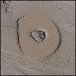 silt - photo by University of Southern California