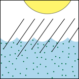 diagram showing how algae bounce light
