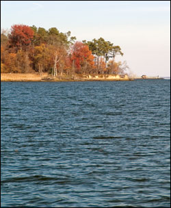 Autumn on the West River - credit: Sandy Rodgers