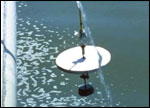 secchi disk