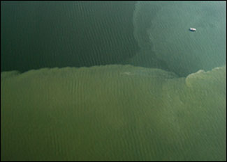 sediment plume