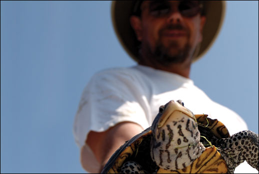 Willem and a terrapin