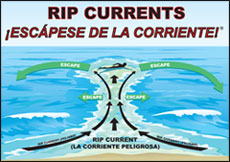 bilingual rip current illustration