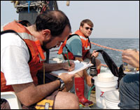 researchers on a cruise