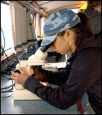 researchers on a cruise