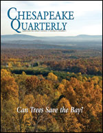 issue cover - trees in western Maryland