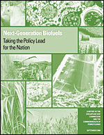 Next Generation of Biofuels