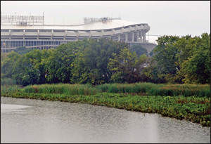 retored marshes near RFK statium - by Erica Goldman